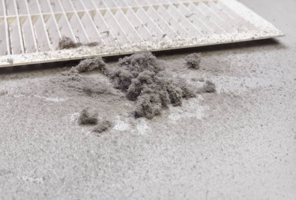 Best Affordable Duct Cleaning Services  in Ithaca, MI