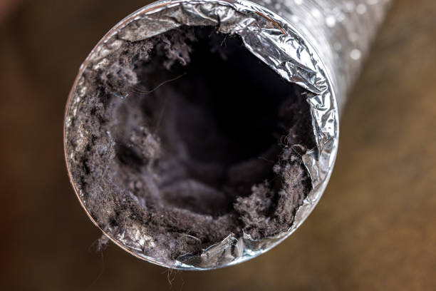 Best HVAC Duct Inspection Services  in Ithaca, MI